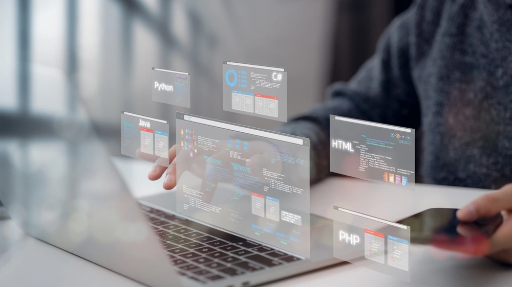 Creación de Paneles de Usuario Personalizados: Acceso Seguro y Control Total.